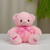 9″ Baby Boy & Baby Girl Teddy Bear | Pink & Blue Ribbon Bear