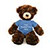 11" Brandon Chocolate Teddy Bear with Tee  - Stuffed Bear