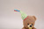 8" birthday star bear hat