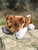 10" Bulldog Stuffed Animal - Plush Bulldog Stuffed Animal