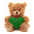6″ Valentine Teddy Bear with Custom Heart | Teddy with Heart