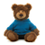 10" Frankie Teddy Bear with Custom Hoodies | Stuffed Animals