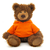 10" Frankie Teddy Bear with Custom Hoodies | Stuffed Animals