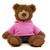 10" Frankie Teddy Bear with Custom Hoodies | Stuffed Animals