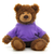 10" Frankie Teddy Bear with Custom Hoodies | Stuffed Animals