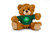 Mocha Sitting Bear 6" St. Patrick's Day