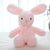 9″ Easter Pink Bunny Plush Toy | Cute Bunny Stuffed Animal