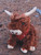 Highland Cow with Moo Soun 10"