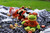 Halloween 12 in stuffed animal plush toys personalized Frog