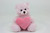 9″ Pink Valentine Plush Bear with Color Heart | Love Plush