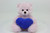 9″ Pink Valentine Plush Bear with Color Heart | Love Plush
