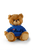 Customizable Mocha sitting teddy bear 11" Father's day