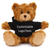 11" Personalized Teddy Bear in Hoodie | Custom Sitting Bear