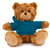 11" Personalized Teddy Bear in Hoodie | Custom Sitting Bear