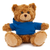 11" Personalized Teddy Bear in Hoodie | Custom Sitting Bear