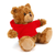 11" Personalized Teddy Bear in Hoodie | Custom Sitting Bear
