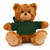 11" Personalized Teddy Bear in Hoodie | Custom Sitting Bear