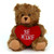6" & 9" Valentine Teddy Bear with a Message on Holding Heart