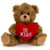 6" & 9" Valentine Teddy Bear with a Message on Holding Heart