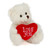 6" & 9" Valentine Teddy Bear with a Message on Holding Heart
