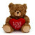 6" & 9" Valentine Teddy Bear with a Message on Holding Heart