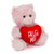 6" & 9" Valentine Teddy Bear with a Message on Holding Heart