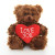 6" & 9" Valentine Teddy Bear with a Message on Holding Heart
