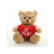 6" & 9" Valentine Teddy Bear with a Message on Holding Heart