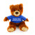 Customized Plush teddy bear Noah 12" with Tee