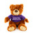 Customized Plush teddy bear Noah 12" with Tee
