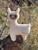 Lana the Standing Llama 9"