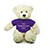 Brandon Cream Teddy Bear with Tee  11"