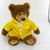 Spring Raincoat Frankie Bear 10"