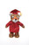 Graduation Animals--Tiger 8" and 11" with custom imprint