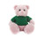 12" Pink Teddy Bear with Custom T-Shirts | Stuffed Toys
