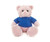 12" Pink Teddy Bear with Custom T-Shirts | Stuffed Toys