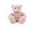 12" Pink Teddy Bear with Custom T-Shirts | Stuffed Toys