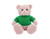 12" Pink Teddy Bear with Custom T-Shirts | Stuffed Toys