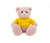 12" Pink Teddy Bear with Custom T-Shirts | Stuffed Toys