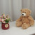 12″ Brandon Plush Teddy Bear | Cuddly Brandon Bear Toy