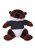 Plush Otter Bean Bag animal 8"