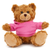 (Sample) 11" Personalized Teddy Bear in Hoodie | Custom Sitting Bear