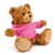 (Sample) 11" Personalized Teddy Bear in Hoodie | Custom Sitting Bear
