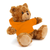 (Sample) 11" Personalized Teddy Bear in Hoodie | Custom Sitting Bear