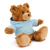 (Sample) 11" Personalized Teddy Bear in Hoodie | Custom Sitting Bear