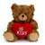 (Sample) 6" & 9" Valentine Teddy Bear with a Message on Holding Heart
