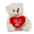 (Sample) 6" & 9" Valentine Teddy Bear with a Message on Holding Heart