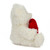 (Sample) 6" & 9" Valentine Teddy Bear with a Message on Holding Heart