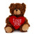 (Sample) 6" & 9" Valentine Teddy Bear with a Message on Holding Heart