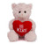 (Sample) 6" & 9" Valentine Teddy Bear with a Message on Holding Heart